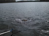 2014-05-10 14-01-24 1399718353